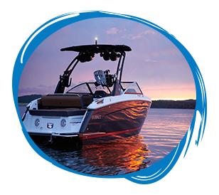 Vantage Protection Systems